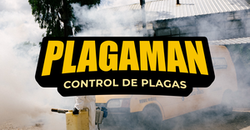 Plagaman